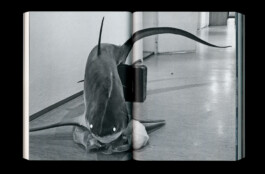 Jasper Otto Eisenecker, Graphic Design