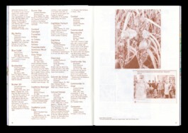  Jasper Otto Eisenecker, Graphic Design