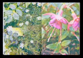  Jasper Otto Eisenecker, Graphic Design