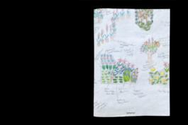 Jasper Otto Eisenecker, Graphic Design