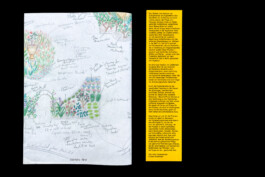 Jasper Otto Eisenecker, Graphic Design