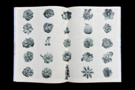 Jasper Otto Eisenecker, Graphic Design