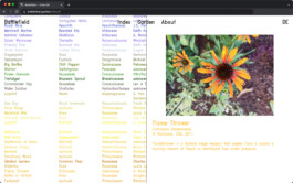 Jasper Otto Eisenecker, Graphic Design