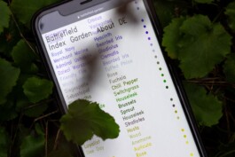 Jasper Otto Eisenecker, Graphic Design