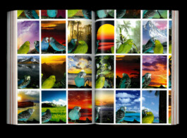 Jasper Otto Eisenecker, Graphic Design