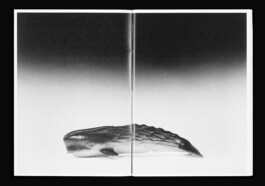 Jasper Otto Eisenecker, Graphic Design