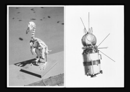 Jasper Otto Eisenecker, Graphic Design